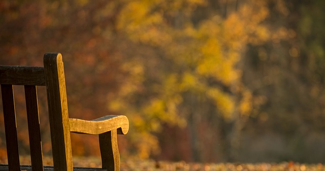 autumn bench